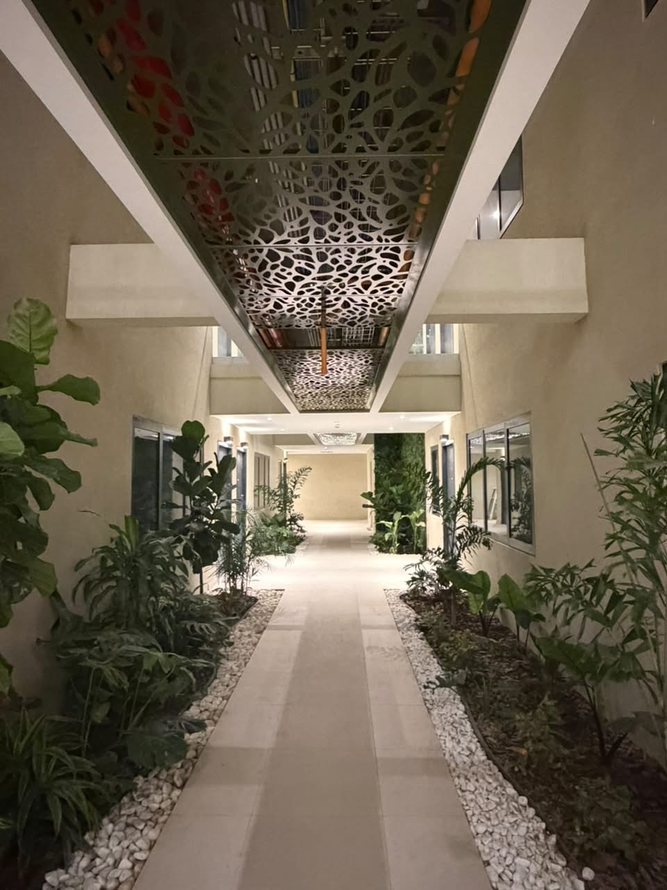 Bonsai Boutique apartments in Aruba at golden hour